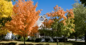 Read more about the article Fall Events in Murfreesboro, TN